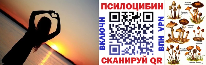 Галлюциногенные грибы Psilocybine cubensis  сколько стоит  Стрежевой 