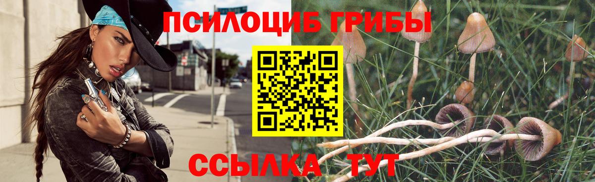Стрежевой  Псилоцибиновые грибы Psilocybine cubensis  купить закладку  Вход с VPN 