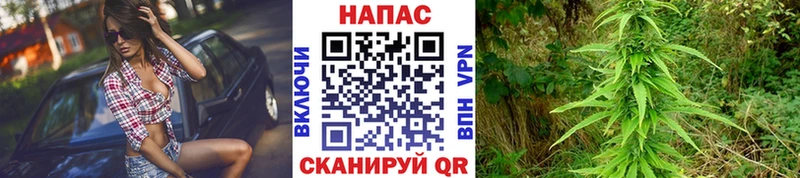 Бошки Шишки планчик  ОМГ ОМГ ТОР  Стрежевой 